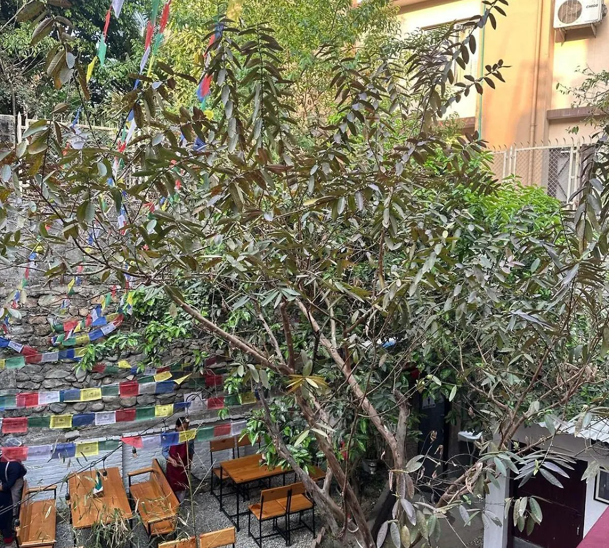 Panzió Manang De Cafe Bnb Katmandu